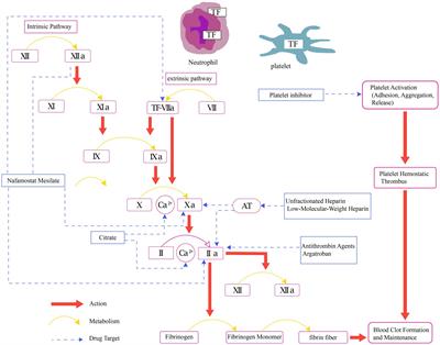 How to safeguard the continuous renal replacement therapy circuit: a narrative review